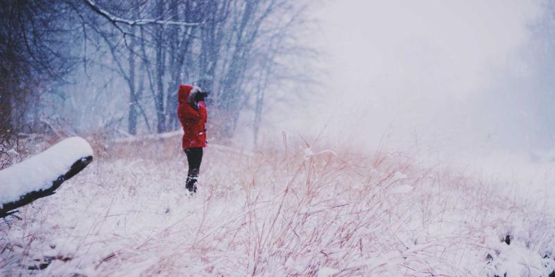 从堑壕到档案库：一战心理创伤如何催生现代军事心理学与档案数字化服务