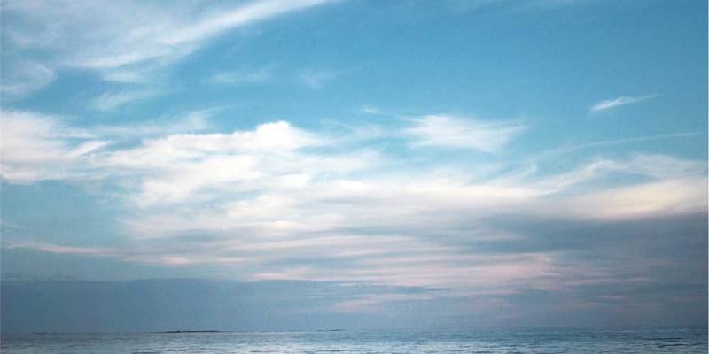 从尘封库房到数字战场：军档案馆的数字化革命与历史档案的永恒价值