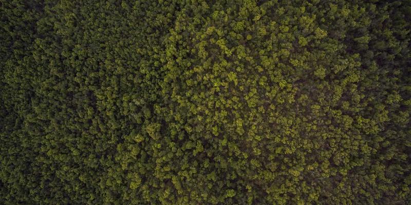 从故纸堆到数据云：数字化服务如何重塑军事历史档案的价值