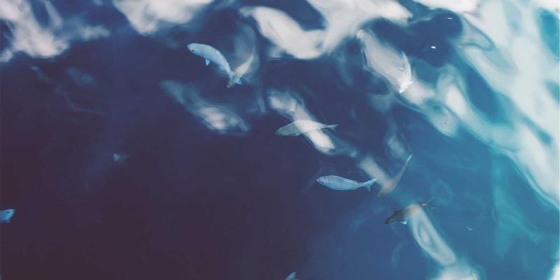 从铁柜到云端：军档案馆数字化如何重塑军事历史研究