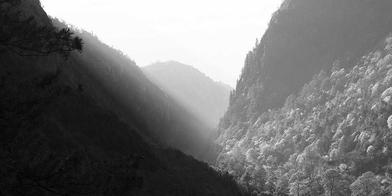 军事历史74：档案数字化如何重塑军事资料的研究与传承