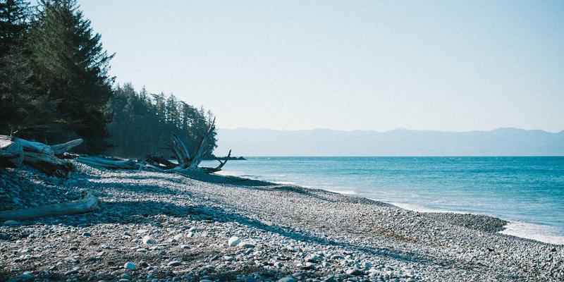 军事历史中的气象战：从拿破仑俄国远征到诺曼底登陆的气候因素分析