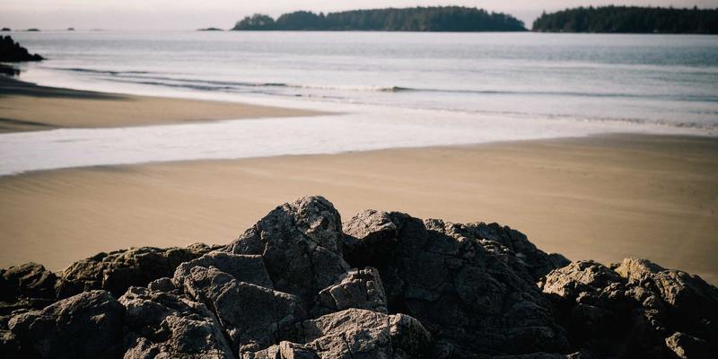 军事历史前景：档案数字化如何重塑军档案馆的未来