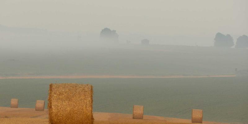 军事档案馆揭秘：拿破仑战争的后勤革命与现代军事物流雏形