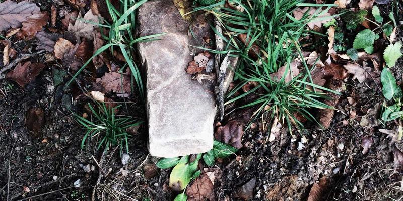 数字化服务如何解锁军档案馆：从一战堑壕战看静态防御的极限与突破